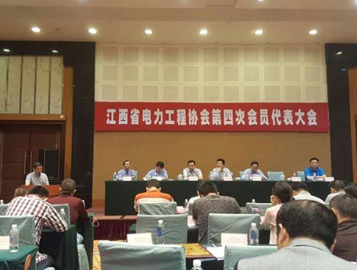 王从南董事长在省电力协会代表大会上作典型发言