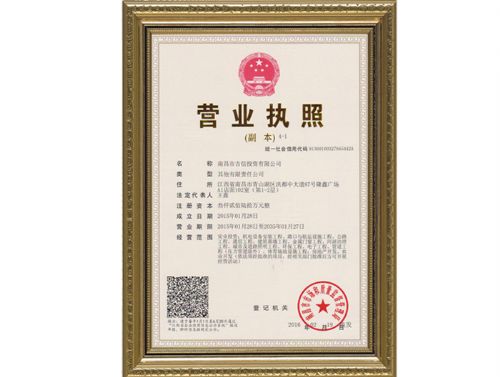 尊龙凯时人生就搏投资营业执照
